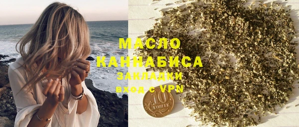 индика Арсеньев