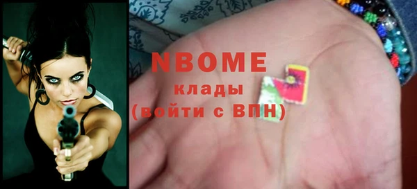 индика Арсеньев