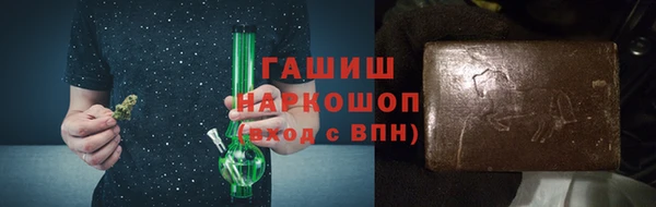 индика Арсеньев