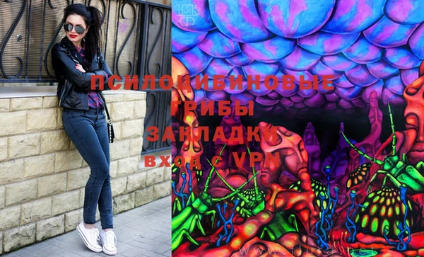 прущие крисы Алзамай
