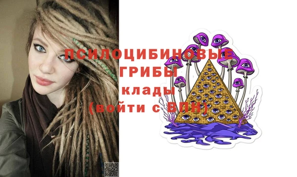 индика Арсеньев