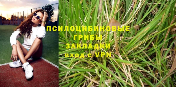 индика Арсеньев