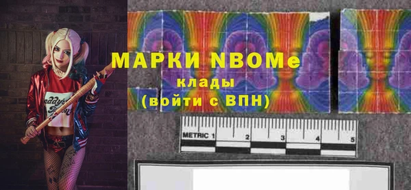 индика Арсеньев