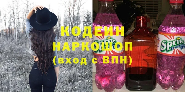 индика Арсеньев