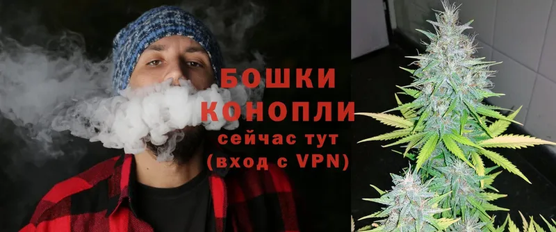 Шишки марихуана OG Kush  наркота  Белокуриха 